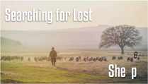 Searching for Lost Sheep